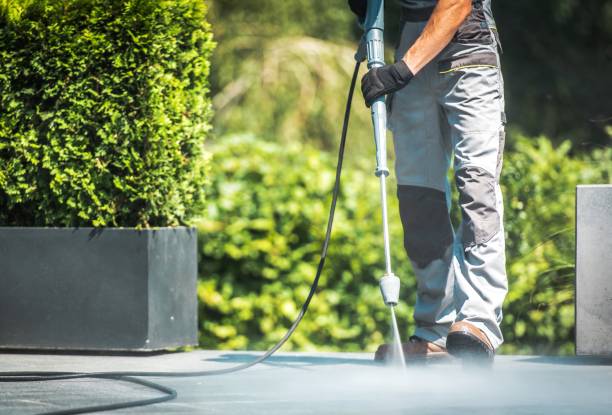 Best Sidewalk and Walkway Cleaning  in Ester, AK