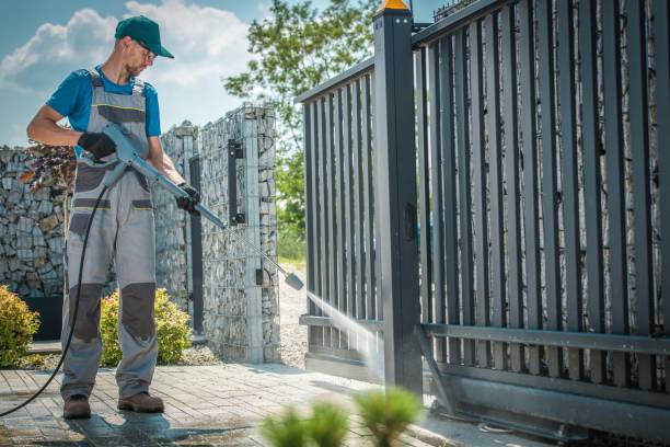 Best House Exterior Washing  in Ester, AK