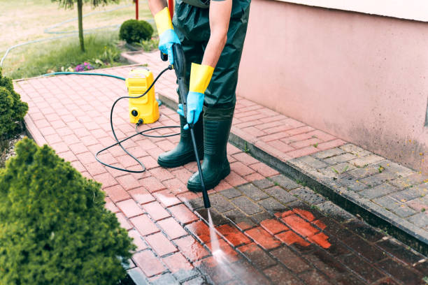 Best Patio and Deck Pressure Washing  in Ester, AK